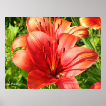 Copie de toile de fleur affiche