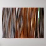 Copie de toile de Jarrah 2 Posters