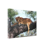 Copie de toile de lion de petit somme d'après-midi impression sur toile