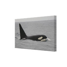 Copie de toile enveloppée par baie de Monterey d'o Toile Tendue Sur Châssis