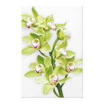 Copie de toile enveloppée par fleur verte d'orchid impression sur toile