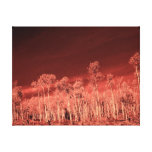 Copie de toile étirée par forêt impressions sur toile