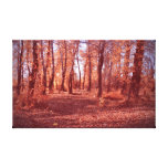 Copie de toile étirée par forêt toiles tendues