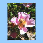 Copie de toile - l'abeille sur un sauvage s'est le impressions sur toile
