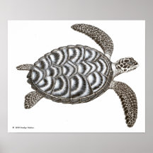 Copie de tortue de mer de Hawksbill Poster