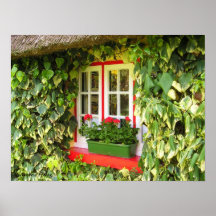 Copie de vignes de fenêtre d'Adare Posters