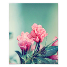 Copie des fleurs 8x10 de rose photo d’art