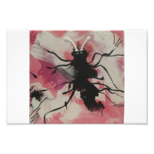 COPIE D'INSECTE DE CUTIE PHOTOGRAPHIE D’ART
