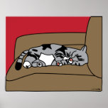Copie d'Olivia de chat de sommeil Affiches