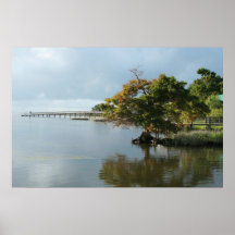 Copie du pilier de canard (OBX) Affiche
