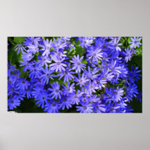 Copie florale bleue d'affiche