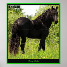 Copie frisonne de photo posters