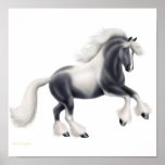 Copie gitane de cheval d'épi de Vanner Posters