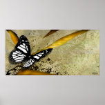 Copie grunge d'affiche de papillon
