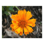 Copie jaune de fleur art photographique