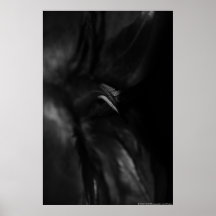 Copie légère de toile d'image de plume. affiches