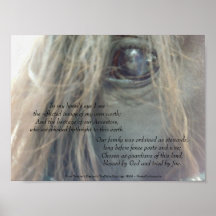 Copie mate de l'oeil 11x8.25 de mon cheval UV Affiches