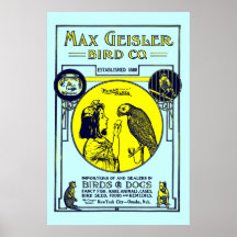 Copie maximum vintage d'art de l'oiseau Cie. de Ge Posters