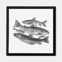 Copie noire vintage de poissons aimant
