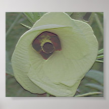 Copie OkraEdges2 Poster