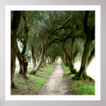 Copie olive de jardin affiche