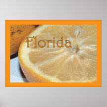 Copie orange de la Floride Poster