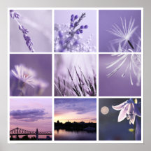 copie pourpre de photos de la nature 3x3 affiches