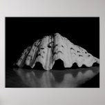 Copie réfléchie de beaux-arts de Shell Posters