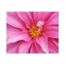 Copie rose de toile de dahlia d'imaginaire impression sur toile
