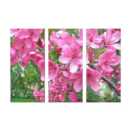 Copie rose de toile de trio de fleurs de cerisier toile tendue sur châssis
