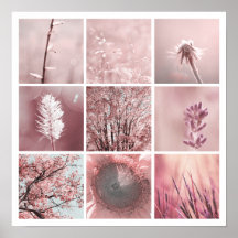 copie rose des photos 3x3 affiches