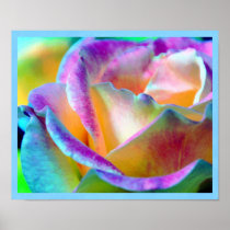 Copie rose d'illusions de couleur posters