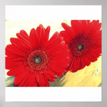 Copie rouge de toile de Gerberas Affiches