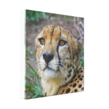 Copie sauvage de toile de guépard toiles tendues sur châssis