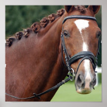 Copie tressée d'affiche de crinière de cheval