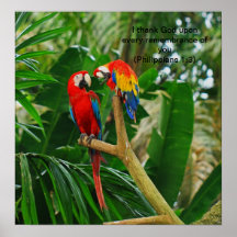 Copie tropicale d'oiseau (avec le texte) posters