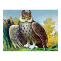 Copie vintage de hibou cartes postales