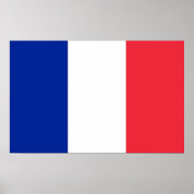 Copie vue avec le drapeau de la France Affiches
