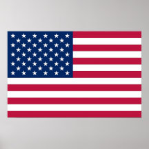 Copie vue avec le drapeau des Etats-Unis Posters