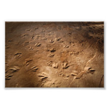 Copies de pied de dinosaure photographie