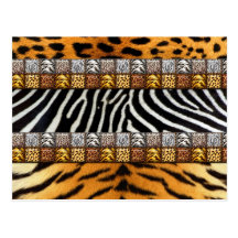 Copies de safari cartes postales