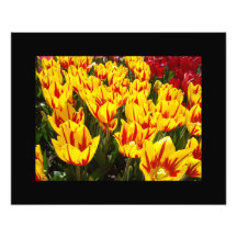 Copies rouges jaunes de beaux-arts de jardin de fl impressions photo
