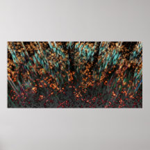 Copper Borealis Posters