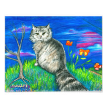 Copyright de KITTY de LEVER DE SOLEIL SylviART 199 Photo