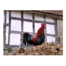 COQ CARTES POSTALES