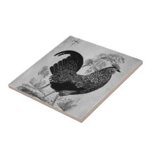 Coq de thanksgiving dans le monochrome carreaux