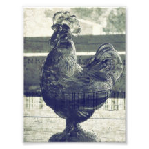 Coq en verre vintage photographe