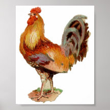 Coq Affiches