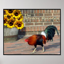 Coq Posters