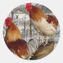Coq-un-griffonnage-faites Autocollant Rond